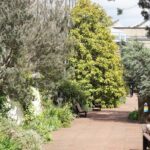 TER Botanics glasshouse with people sitting