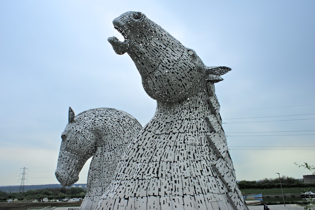 Pulling in different directions...the Kelpies enjoying the election.