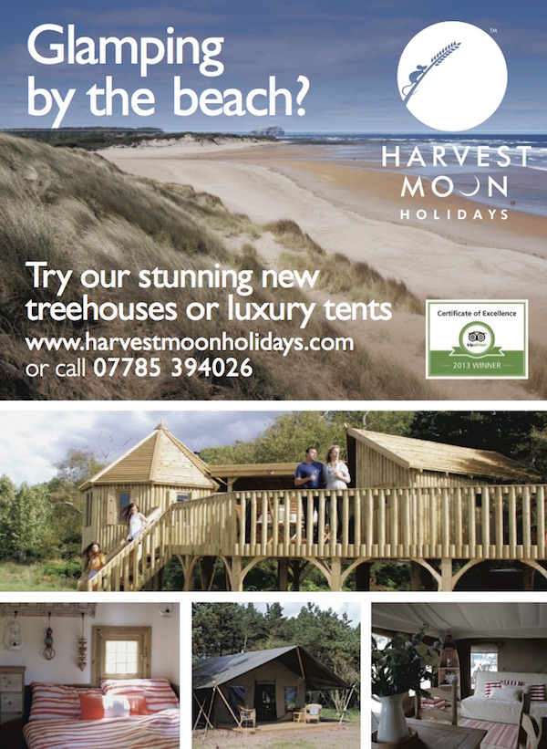 Advert - Scotsman 2014 (Treehouse) SEM647341harvest moon prev ad.