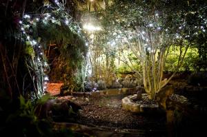 secret her garden grotto Dec 2014