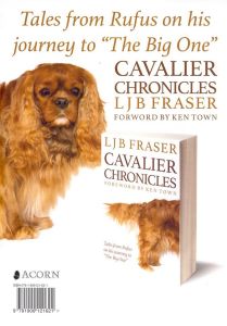 cavalier chronicles at colinton library jan 2015