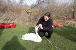 Fiona Thorburn with swan