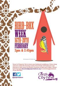 Gorgie Fram Bird Box Week Feb 2015