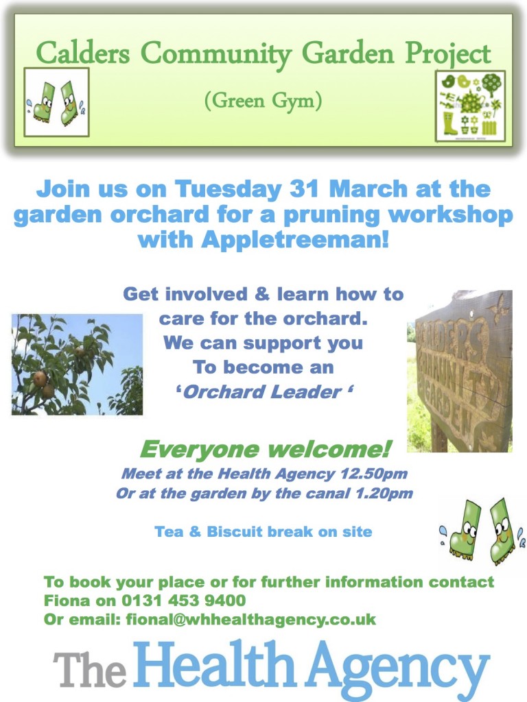 Calders Community Garden Project (2)