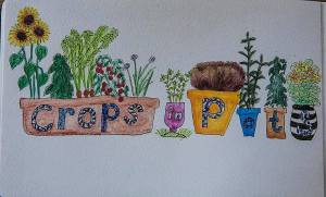 crops in pots image