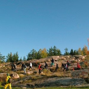 reindeer safari