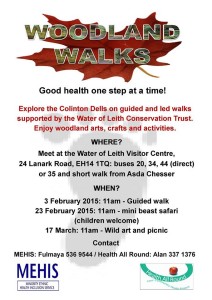 woodland walk 17th March