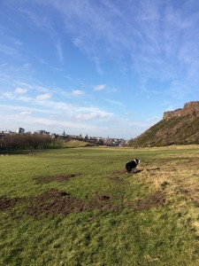 Salisbury Crags dog walk