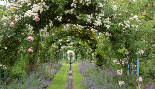 Shepherd House Garden Inveresk