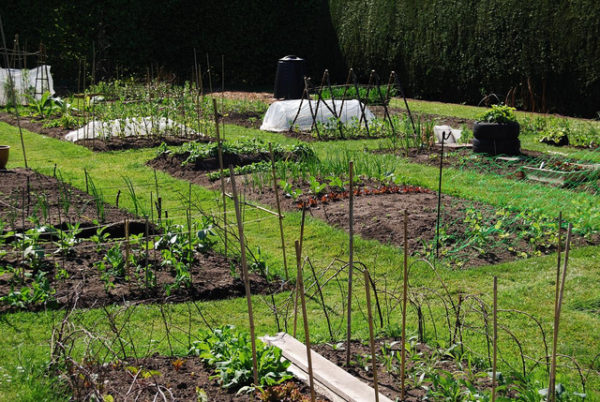 botanics veg garden