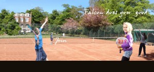 falcon tennis club