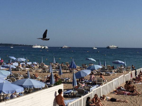 TER Cannes Beach - 1