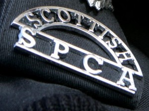 Scottish SPCA badge