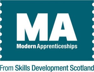 modern apprenticeships 2