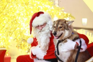 paws and claws with santa