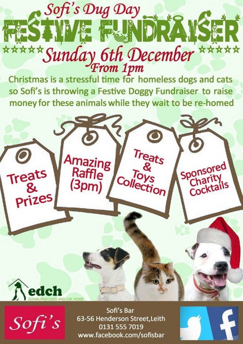 sofi's dug day festive fundraiser