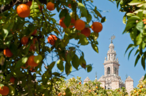 seville spain