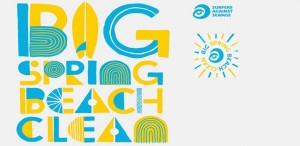 big beach spring clean 2016