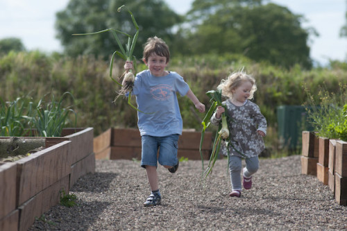 CSGN July 2012. Oakwell Nursery, Linlithgow, EH49 6QZ.