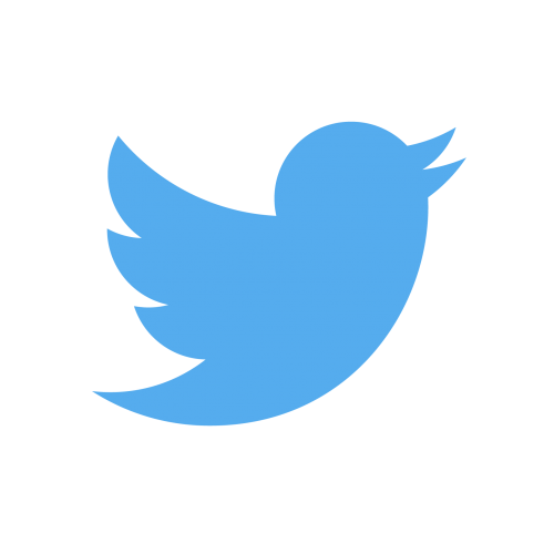 TwitterLogo_#55acee