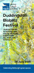 bioblitz-140x300