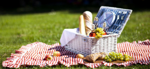 picnic image