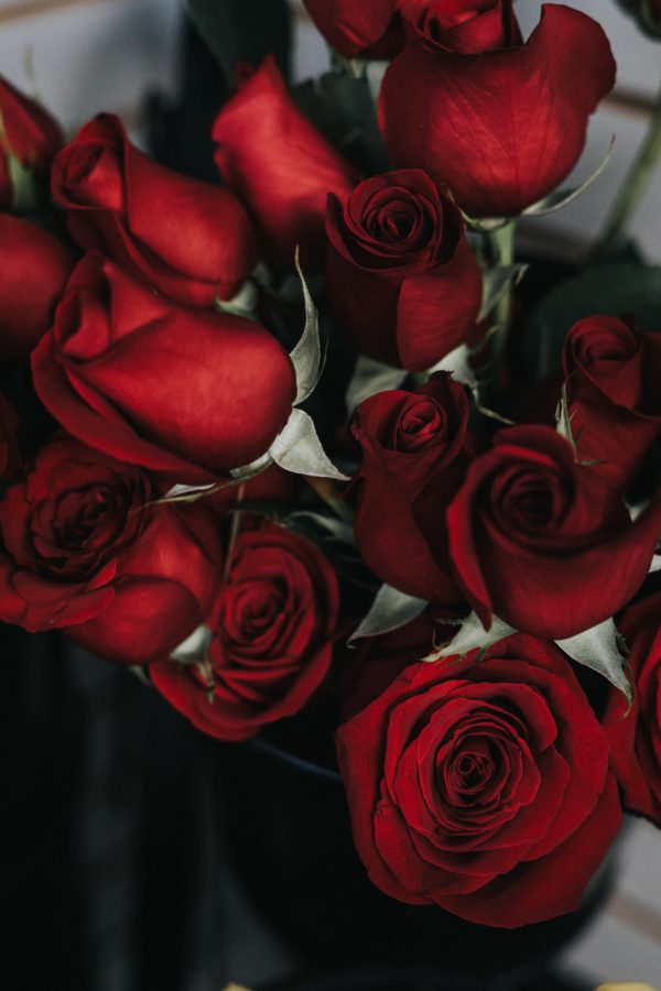 An image of roses