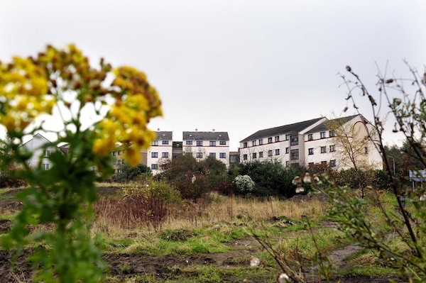 First steps to the new Wester Hailes Healthy Living Centre | The ...