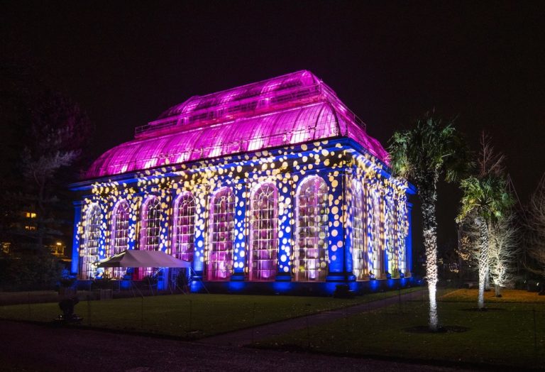 Christmas at the Botanics opens today The Edinburgh Reporter