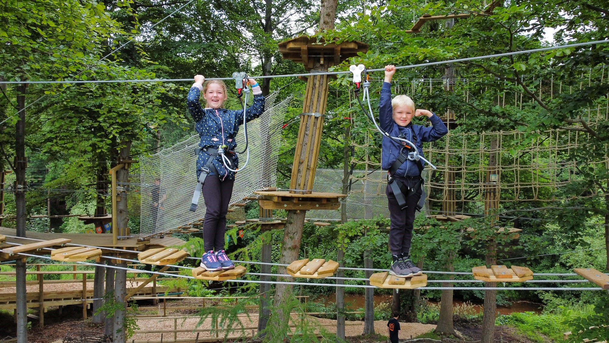 Go Ape In Dalkeith Country Park The Edinburgh Reporter