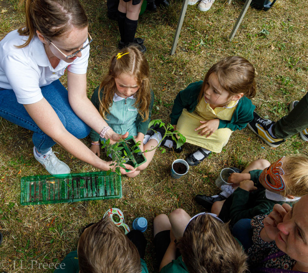 Preparation continues at Liberton Primary School for a ‘TOMTASTIC ...